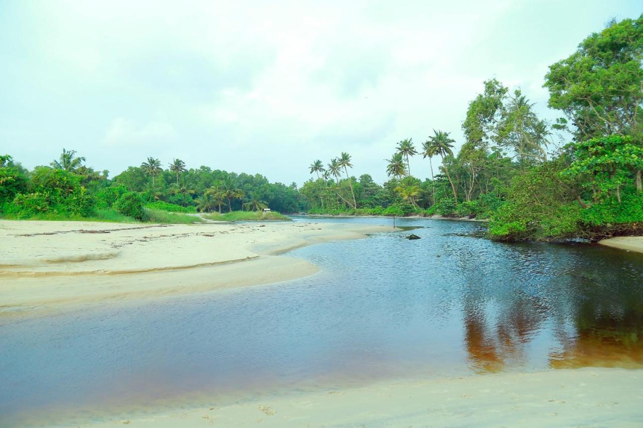 Telma Beach Homestay Mararikulam Exterior photo